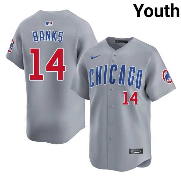 Youth20202620Ernie20Banks20cubs20baseball20jersey20gray.jpg